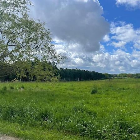 Gite Le Village Des Champs Soings-en-Sologne Buitenkant foto