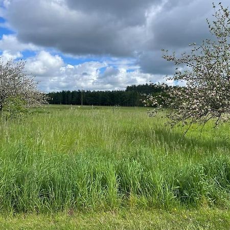 Gite Le Village Des Champs Soings-en-Sologne Buitenkant foto