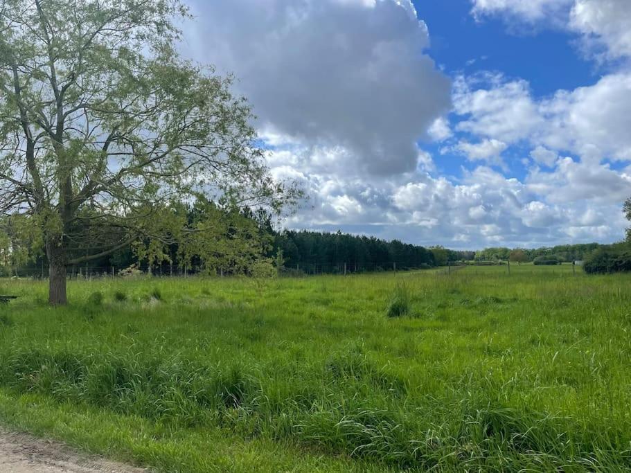 Gite Le Village Des Champs Soings-en-Sologne Buitenkant foto