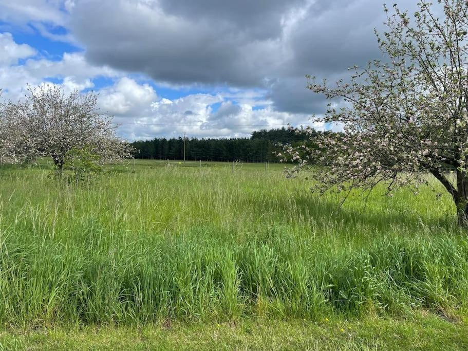 Gite Le Village Des Champs Soings-en-Sologne Buitenkant foto